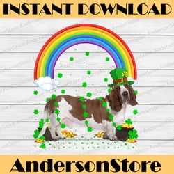 funny shamrock rainbow png, basset hound st patrick's day png, dog puppy pets print graphics st paddy's png
