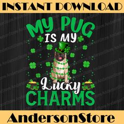my pug is my lucky charms png, pug st patrick's day png, patrick's dog png, dog hat png, st patricks day gift