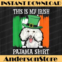 st patrick's day poodle png, shamrock irish png,  irish st patricks day png, patrick's dog png, dog leprechaun hat png,