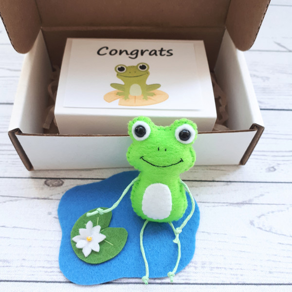 Frog-pocket-hug-in-a-box-gift