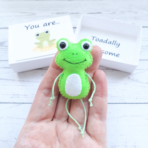 Cute-Frog-pocket-hug-in-a-box