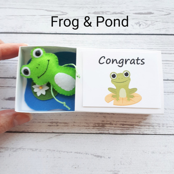 Frog-and-pond-pocket-hug-in-a-box