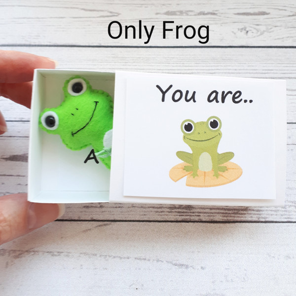 Small-Frog-pocket-hug-in-a-box