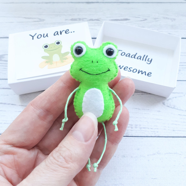 Green-Frog-pocket-hug-in-a-box