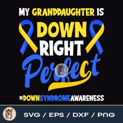 Granddaughter Is Down Right Perfect Down Syndrome Awareness File Download PNG SVG EPS DXF