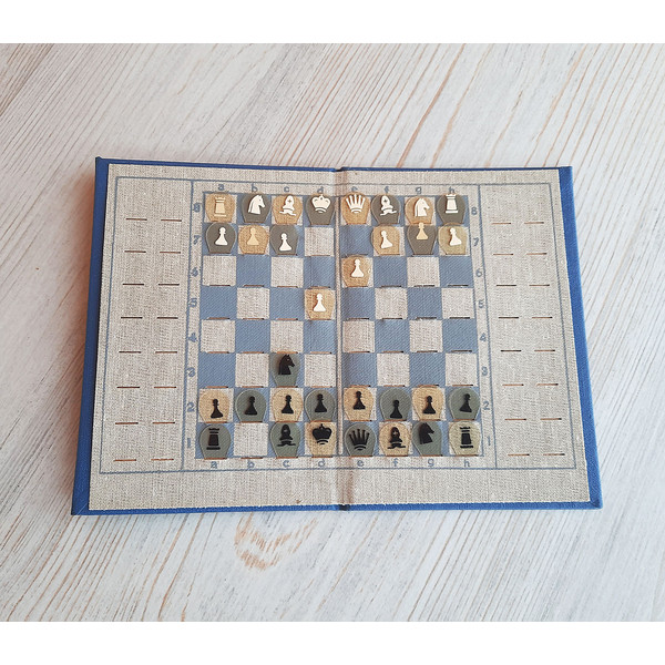 blue_chess_booklet9.jpg