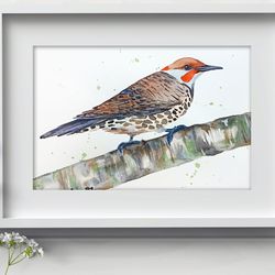 Golden flicker bird Painting Watercolor Wall Decor 8"x10" home art birds watercolor painting by Anne Gorywine