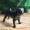 black pug statuette