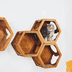 Cat Hexagon Shelves, Wall Mount Shelf with Cat Steps, Wood Wall Furniture for Cats,  Home Gifts, Kitten Owner Gift