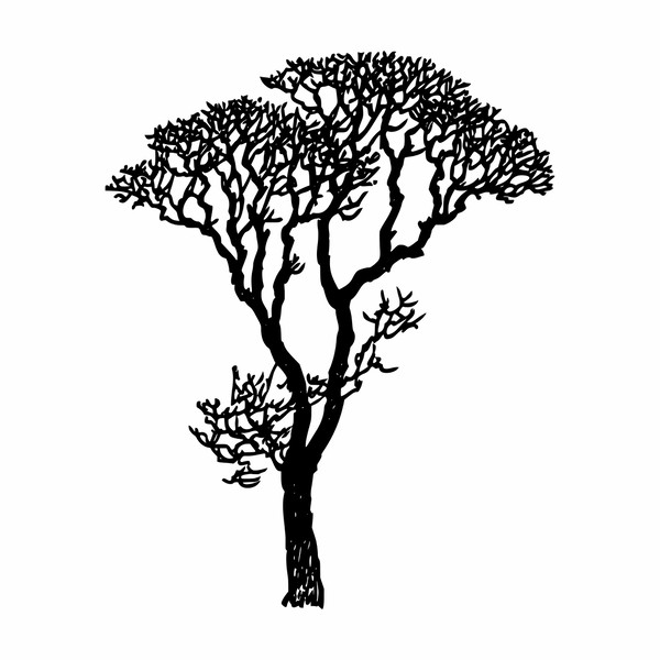 TREE SILHOUETTE SVG26.jpg