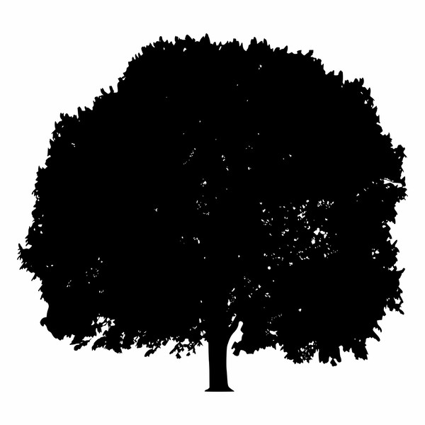TREE SILHOUETTE SVG28.jpg