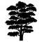 TREE SILHOUETTE SVG29.jpg