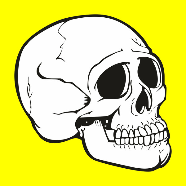skull svg6.jpg