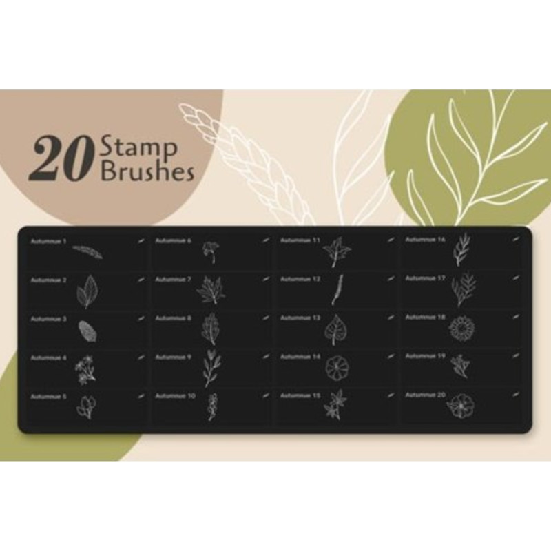 image (1).png