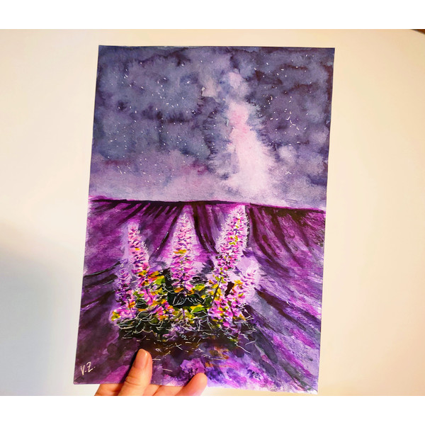 lavender3.jpg