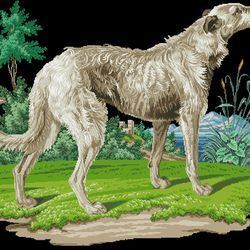 200120 Greyhound