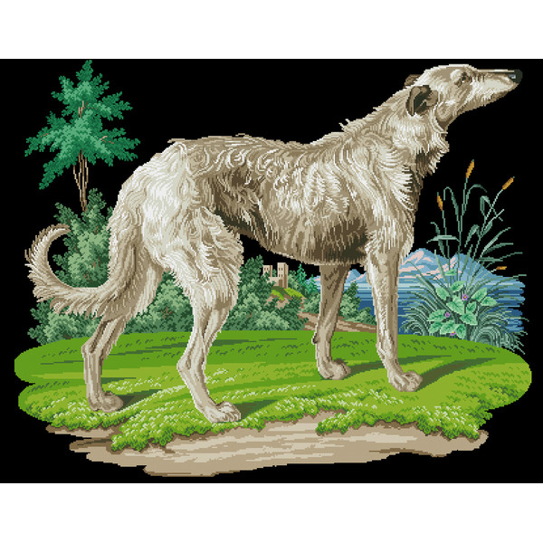 200120 Greyhound (Борзая) ч.jpg