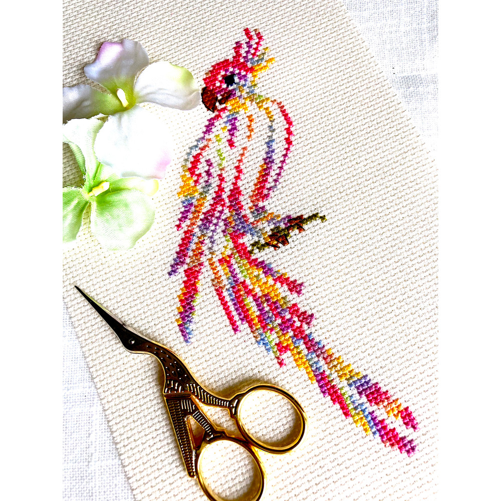 Variegated Parrot new.jpeg