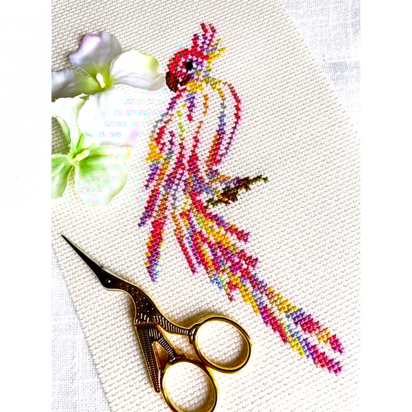 Variegated Parrot new.jpeg