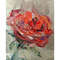 Rose color of fire. Fragment of a close-up Flower painting.