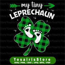 My Tiny Leprechaun PNG, Leprechaun PNG, St Patrick's Day PNG,