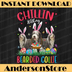 chillin' with my bearded collie easter eggs happy easter easter day png, happy easter day sublimation design