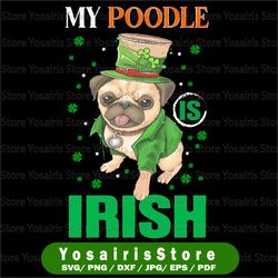 my poodle is irish png sublimation st patrick, poodle png, dog lover, digital download irish design