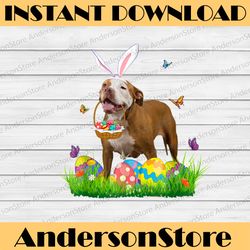bunny pit bull with egg basket easter flower hunting egg easter day png, happy easter day sublimation design