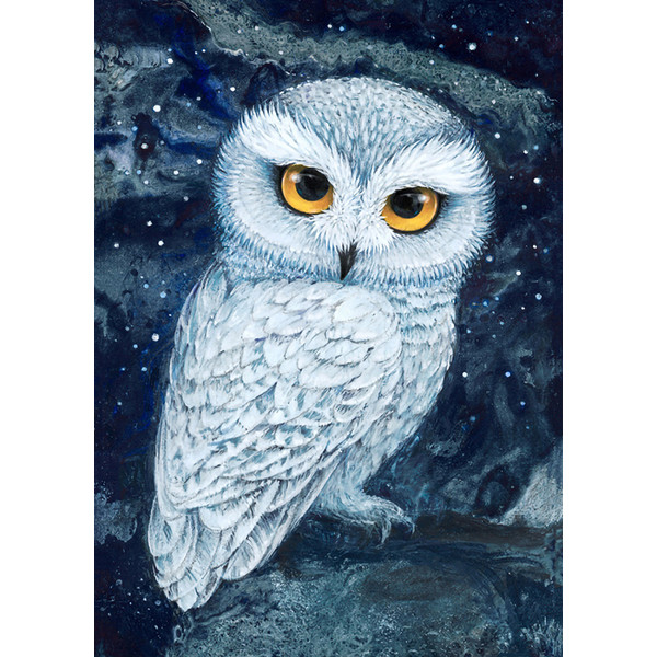 harry-potter-owl.jpg