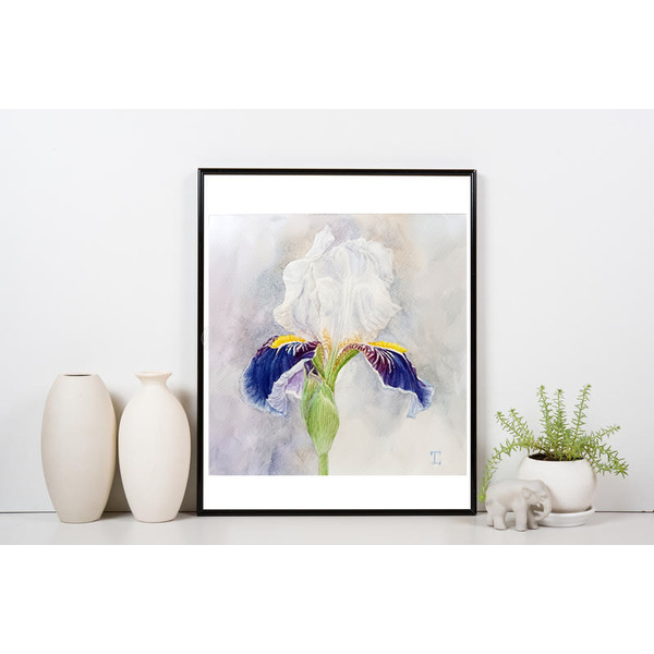"Blue and White Iris"  Flower Original Wall Art Painting Watercolor Artwork picture floral