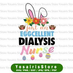 eggcellent dialysis nurse svg png, easter bunny ears medical svg , dialysis nurse sublimation svg design