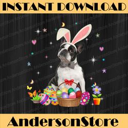 cute boston terrier easter day bunny eggs easter easter day png, happy easter day sublimation design