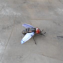 Handmade Fly replica brooch for women Realistic fake insect pin Outrageous jewelry