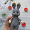 amigurumi easter bunny