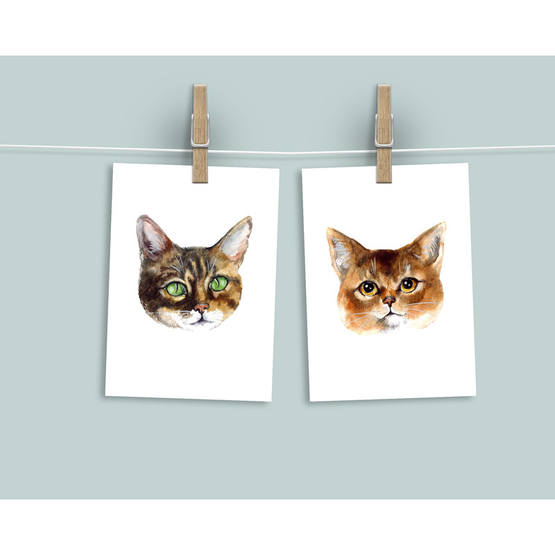 watercolor cat set.jpg