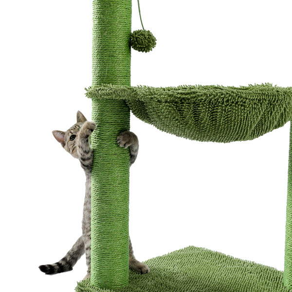 two-kittens-in-the-cactus-tree-1