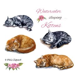 Watercolor clipart. Cat and wreaths Clip art. Cute animals. Use for a drawn artwork to make your own unique postcards