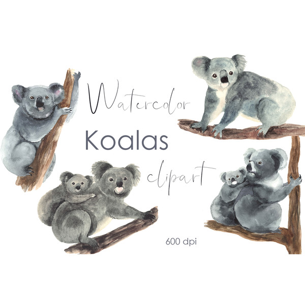 watercolor cute koala.jpg