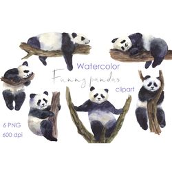 Watercolor Clipart, Panda Clip art, little animals, PNG, Use for a drawn artwork to make your own unique postcards png