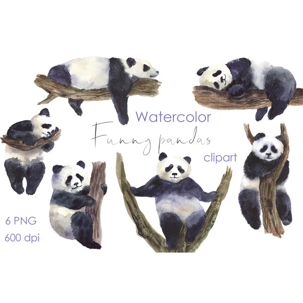 watercolor panda art.jpg