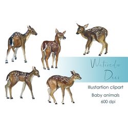 Watercolor Deer Clipart, Woodland Baby, Hand drawn cute clipart forest themed with baby deers, unique Christmas postcard