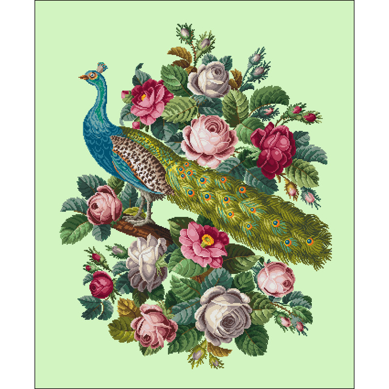 Павлин в розах разн св.jpg