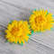 Dandelion-flowers-hair-clips
