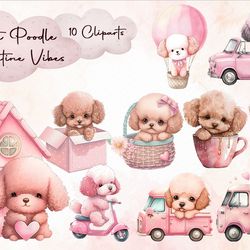 10 files of cute valentine poodle puppy png happy valentine sublimation bundle