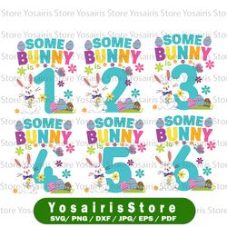 some bunny is 3 year old svg, funny 3rd birthday easter svg, bunny first birthday svg 1st birthday easter svg cricut