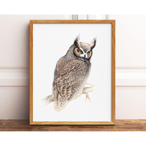 owl_watercolor_frame.jpg