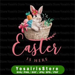 Easter Bunny Is Here Funny Easter Bunny Baby Easter, Easter Pajamas, School Easter PNG Subliamtion