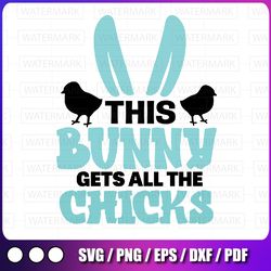 this bunny gets all chicks svg, cute easter boys kids svg, easter svg, easter bunny svg, boy easter svg, easter svg