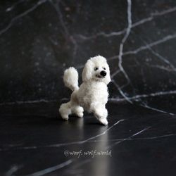 cute white poodle. realistic mini toy. miniature dog. pet for doll. pet portrait.