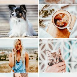 gentle pets preset mobile lightroom summer preset bright colors preset insta blogger mobile preset dng photografy